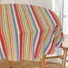 Multi Stripe