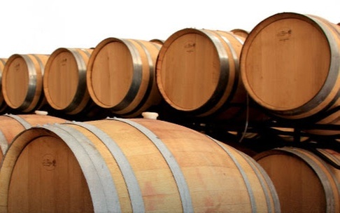 Visita a bodega con cata