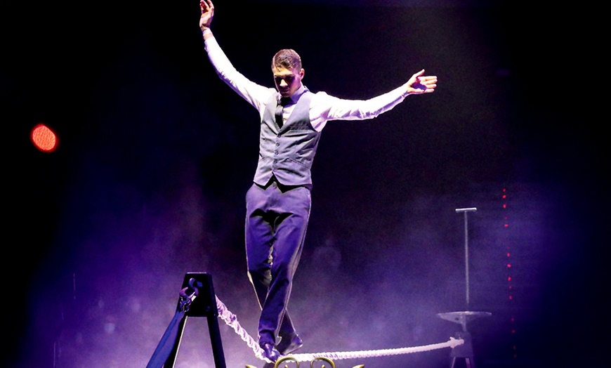 Image 3: Entrada oro o plata para niño o adulto al espectáculo "Viva el circo"