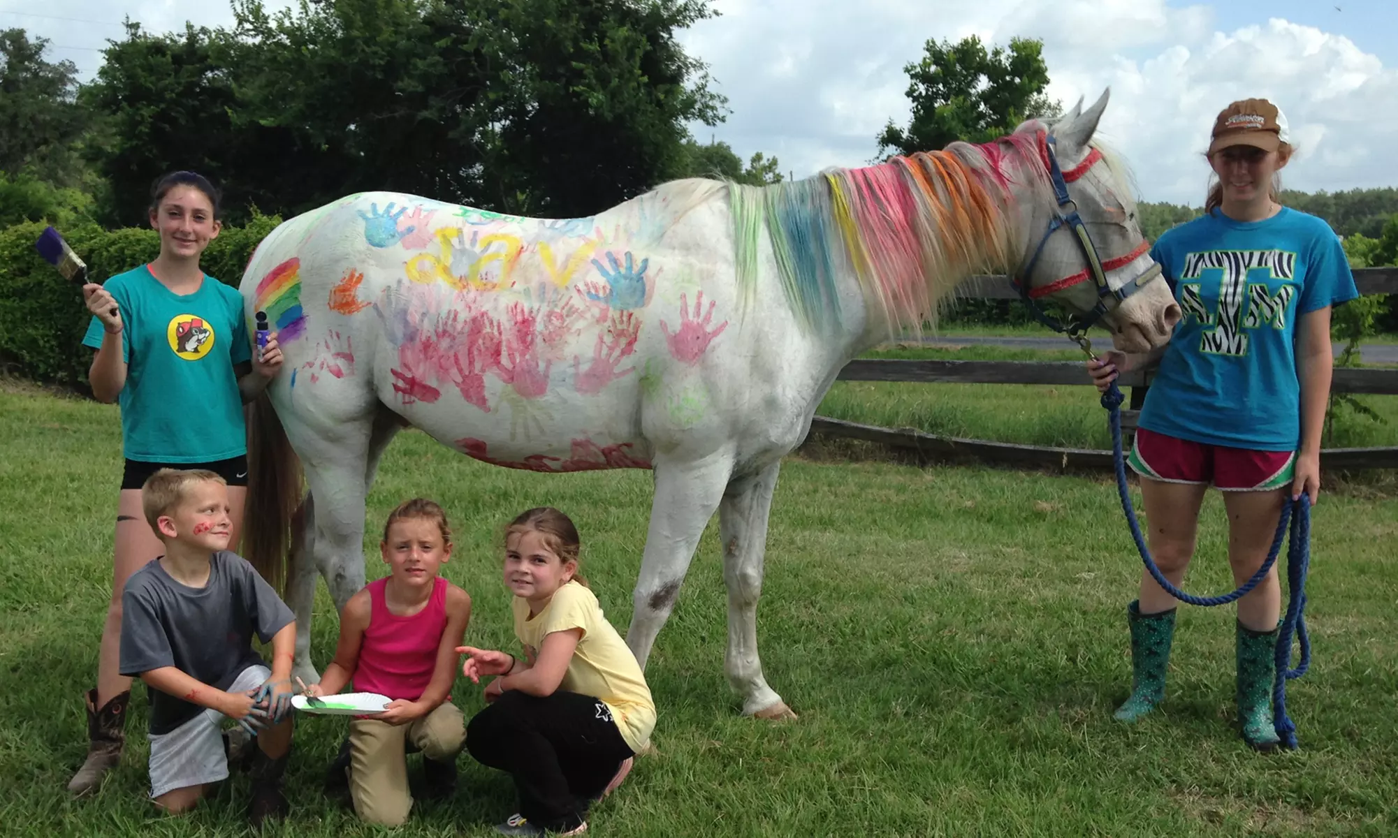 Dive Into Fun: Youth Summer Hearts and Hoofs Horse Camp Registration
