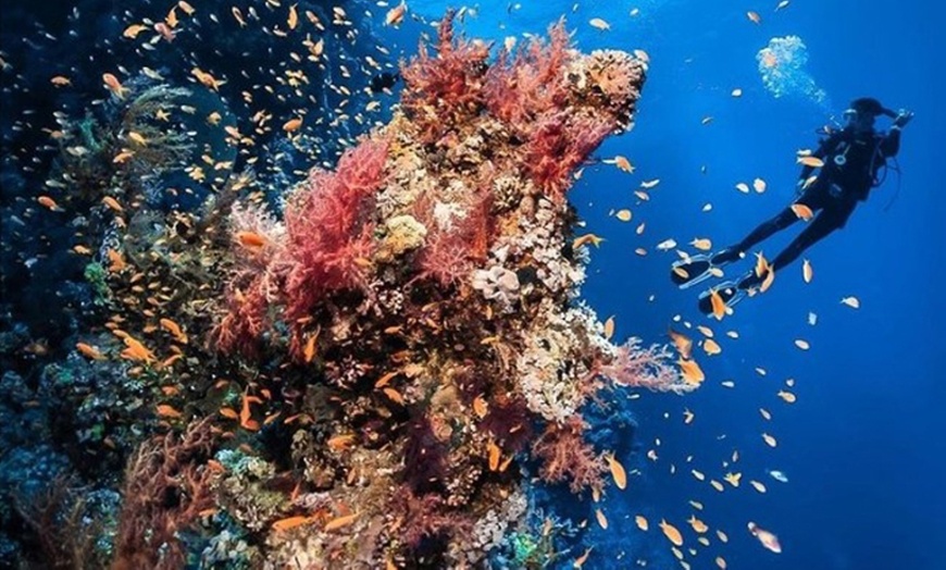 Image 3: Corso per principianti Scuba Diver SSI con Libeccio Tek Diving