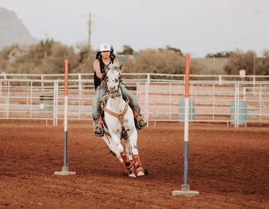 Horse Back Riding Lessons: for 1 person one hour - Ramírez Training Center 