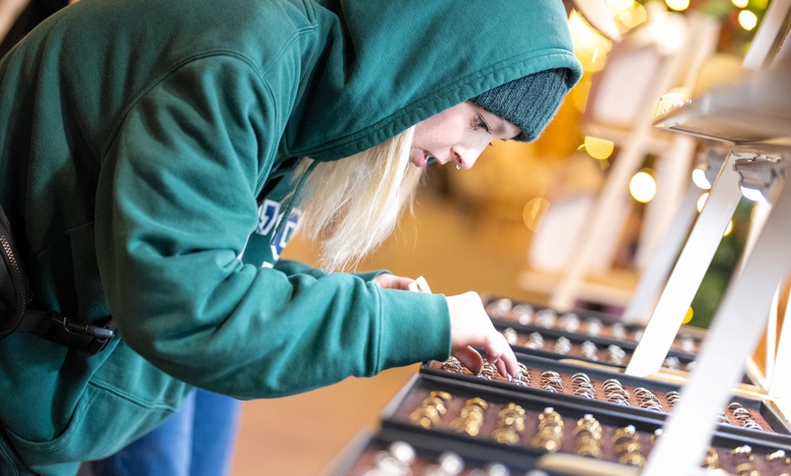 Image 5: Enchant Christmas Las Vegas – World's Largest Light Maze