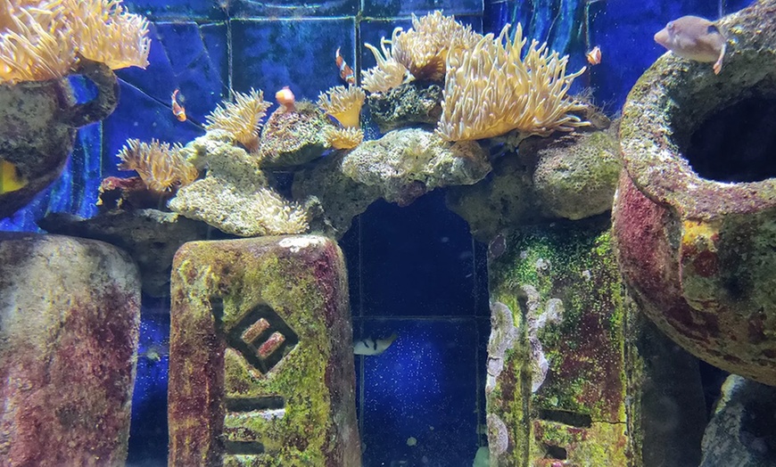 Image 2: Explore the Lost World Aquarium – Entry for Kids, Adults & Families