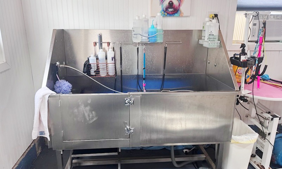 Full-Service Grooming for All Sizes & Doodle Specialists