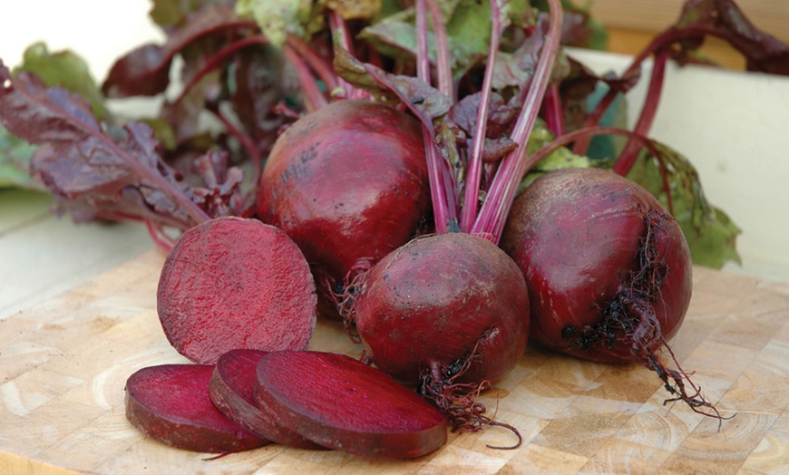 Image 3: Bumper 35-Pack Vegetable Seed Kit and Free Garden Snips