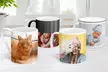 Tasses photo personnalisés en porcelaine ou émail – souvenirs à siroter ! (jusqu'à 86% de remise) - Second Medium