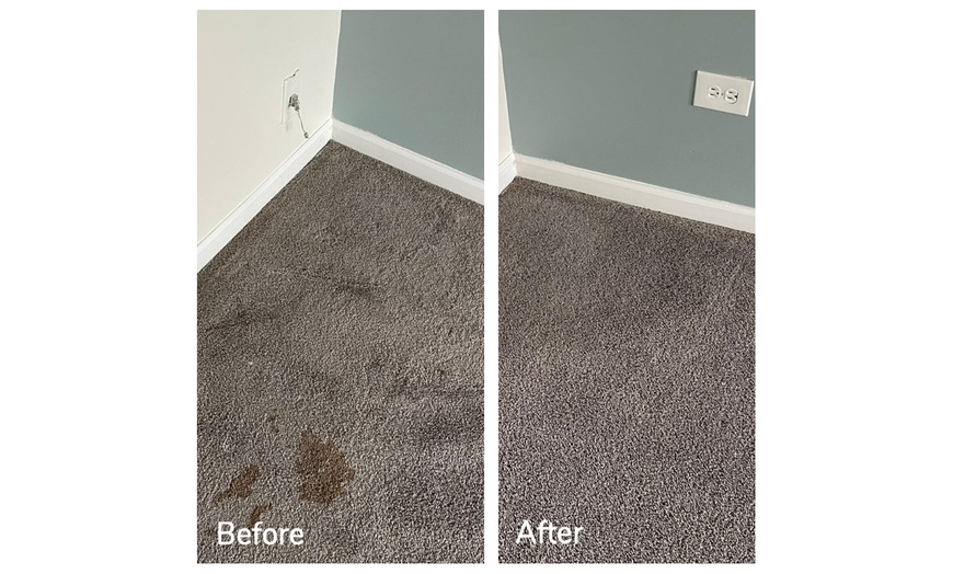 Image 4: Expert Rug Cleaning with Convenient Services 