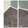 Image 4: Expert Rug Cleaning with Convenient Services 
