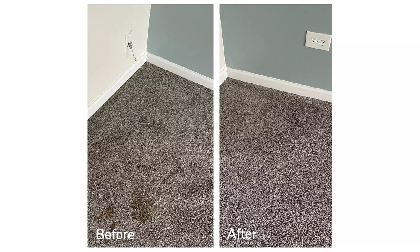 Expert Rug Cleaning with Convenient Services 
