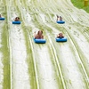 Image 12: Up to 41% Off on Waterpark Admission at Mountain Creek Resort