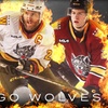 Image 1: Chicago Wolves Hockey – Up to 29% Off