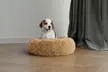 Huisdierenbed met verhoogde randen in formaat en kleur naar keuze - Image 5