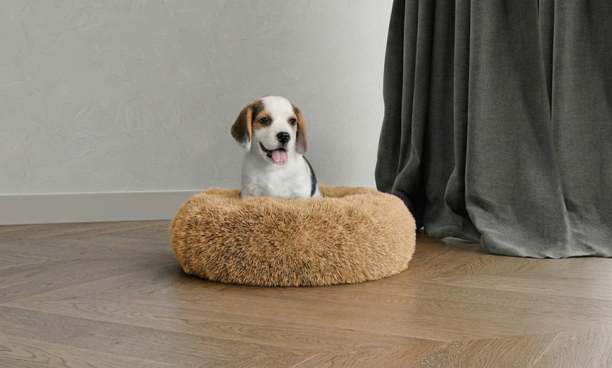 Image 5: Huisdierenbed met verhoogde randen