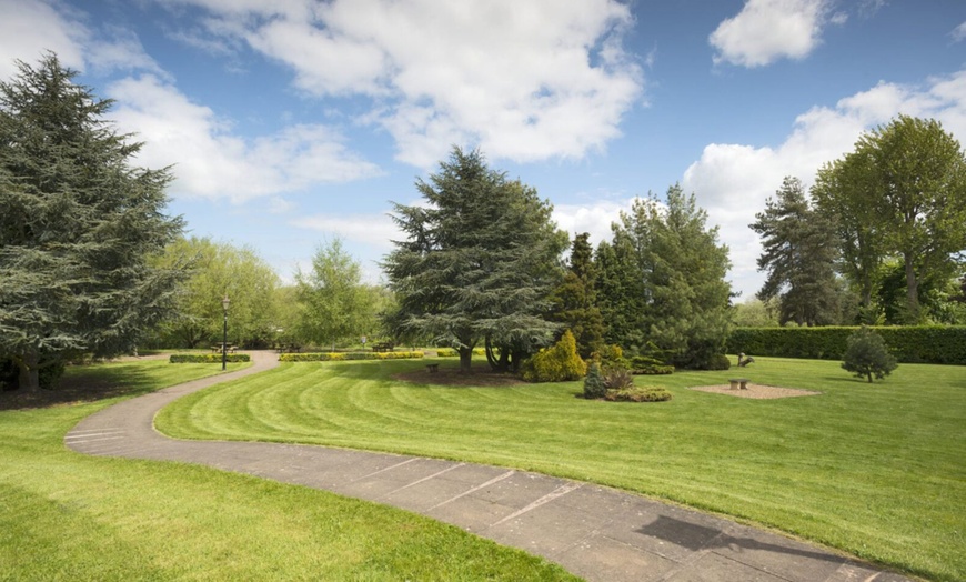 Image 10: Gordons G&T & Traditional or Vegan Afternoon Tea 