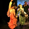 Image 9: 1 o 2 entradas para niño, adulto o sénior a Baraka Flamenco Show