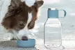 Asobu Tritan Water Bottle with Dog Bowl Attached- 50 Ounces - Second Medium