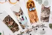 1 or 2 Customized Bookmarks from Justyling - Choose your Design, Photos and Text! Up to 81% Off - Second Medium