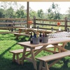 Image 3: Book a Group Event in the Scenic Virginia Countryside