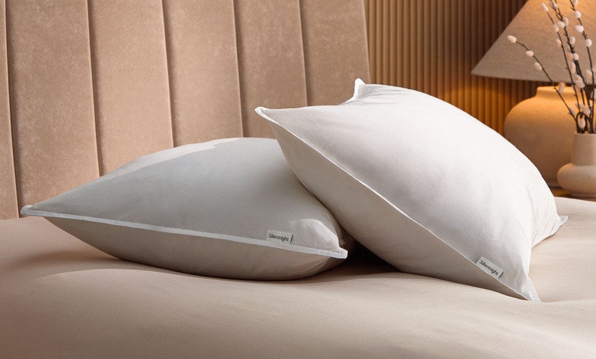 Image 5: Silentnight Duck Feather Pillow Pair
