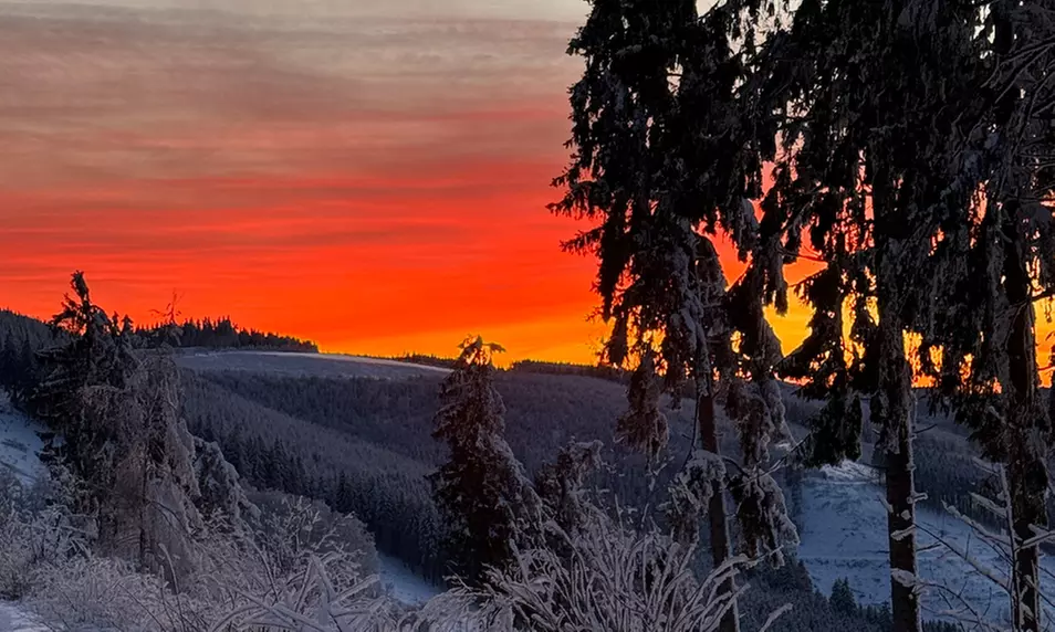 Winterberg: 2-3 Nächte inkl. Frühstück, 1x Dinner, Spa & Alpakas