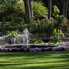 Image 11: Explote 20 Acres of Vibrant Gardens at Rotary Botanical Gardens