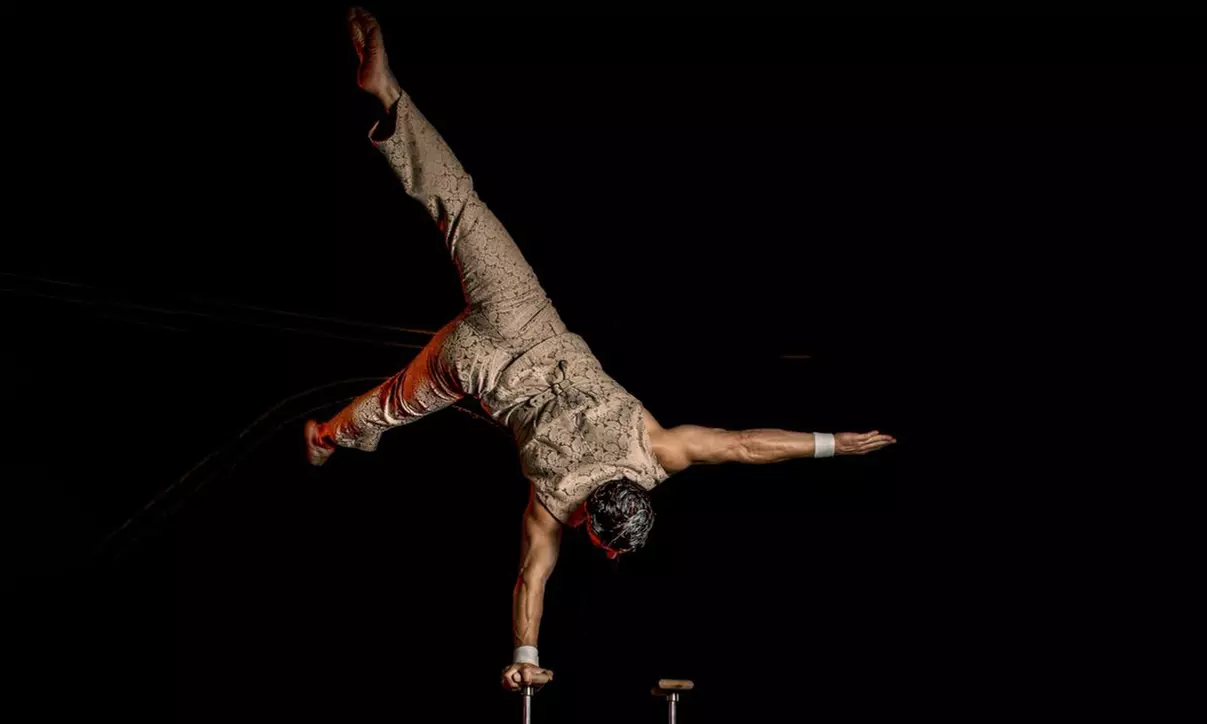 Circo "Terra": entrada a elegir del 22 de enero al 1 de febrero