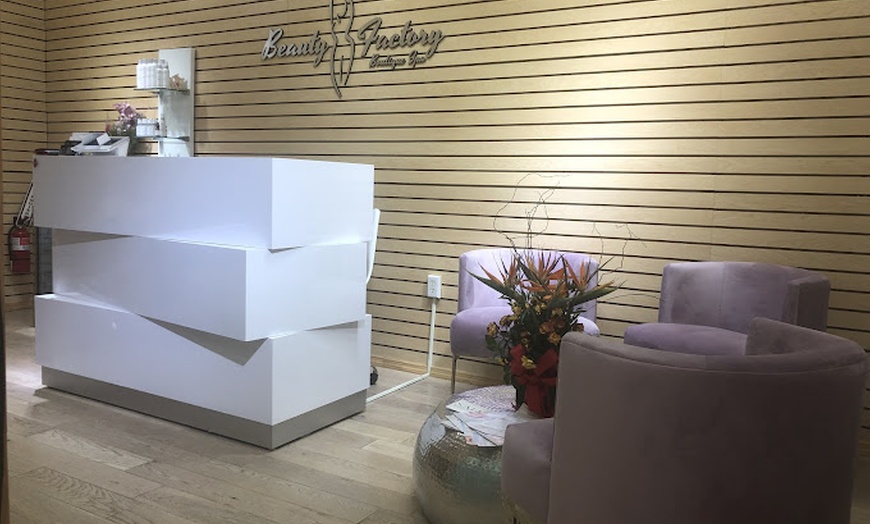 Image 3: Try the only FDA-Approved Permanent Electrolysis Hair Removal