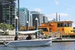 Be Your Own Captain: Self-Captained Electric Boat Rental for Cherry Blossom Tours at The Wharf, Washington DC - Second Medium