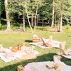 Image 5: Picnic Dining Experience – Perfect for 2, 3, 4, or 5 Guests
