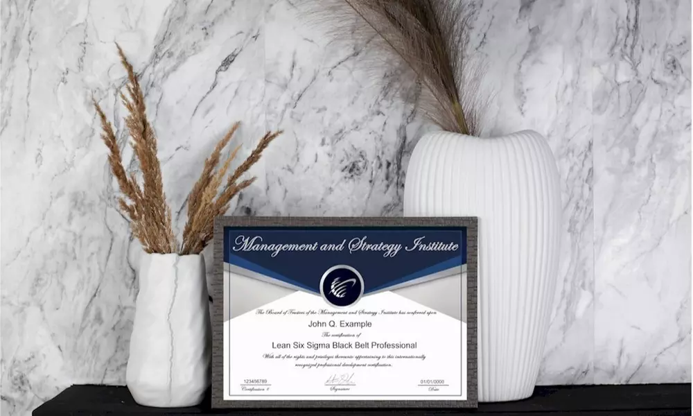 Professional Management Training: Online Key Leadership Skills or Scrum Master Courses