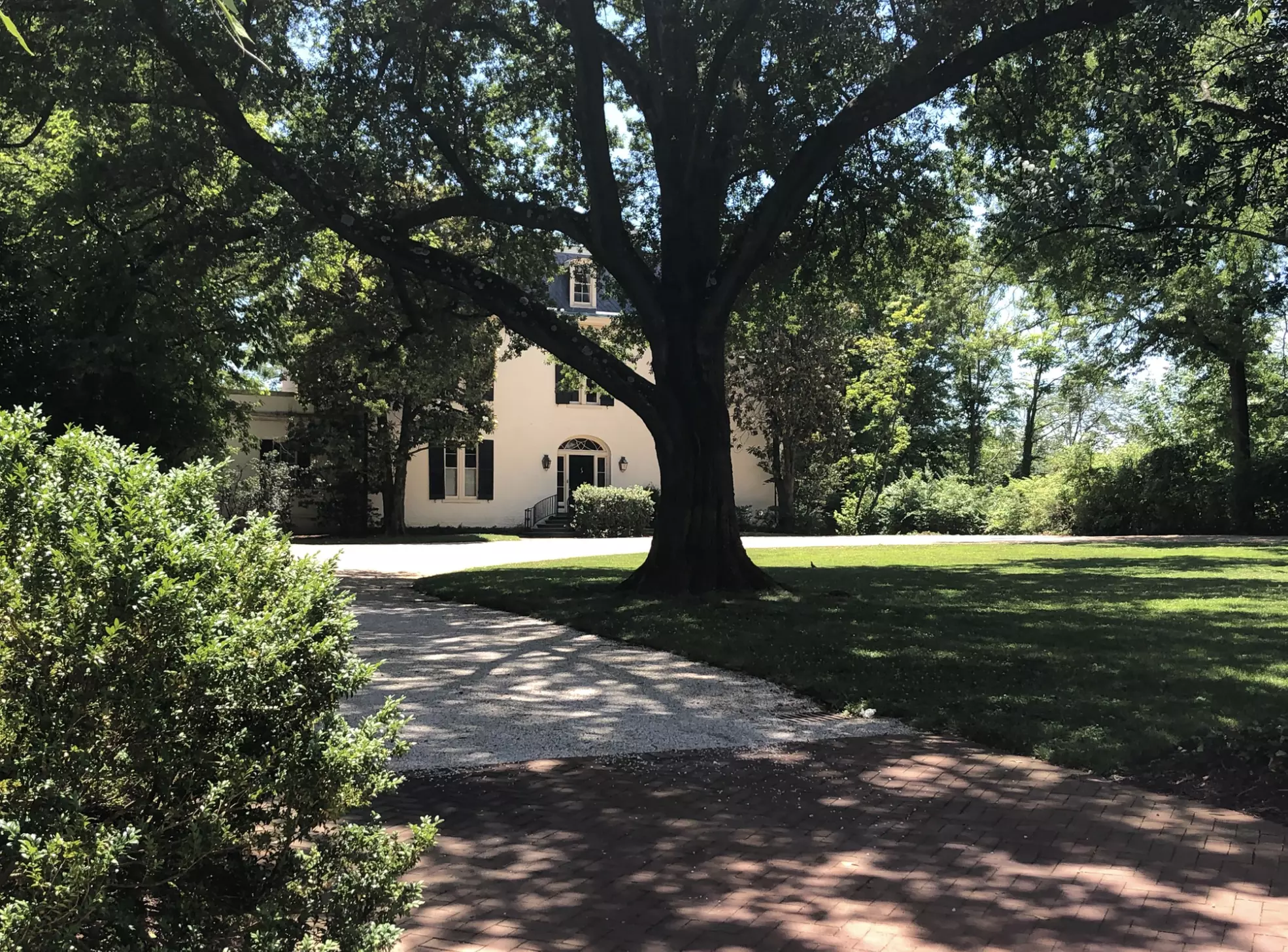 Mission Training Ticket, Georgetown Spy History Walking Tour and More