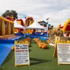 Image 15: Up to 37% Off Inflatable Park and Pumpkin Patch - ABC Tree Farm