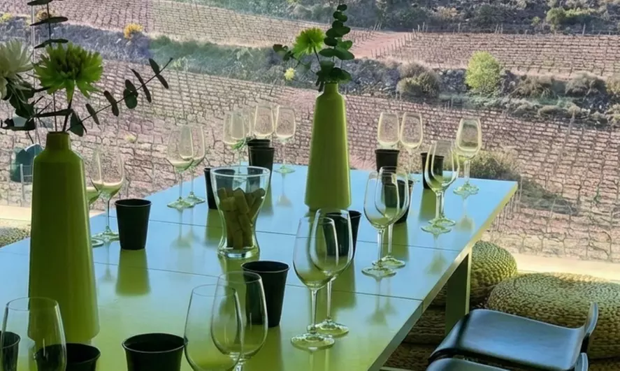 Cata de 3 vinos con maridaje de productos km 0 y visita a viñedo