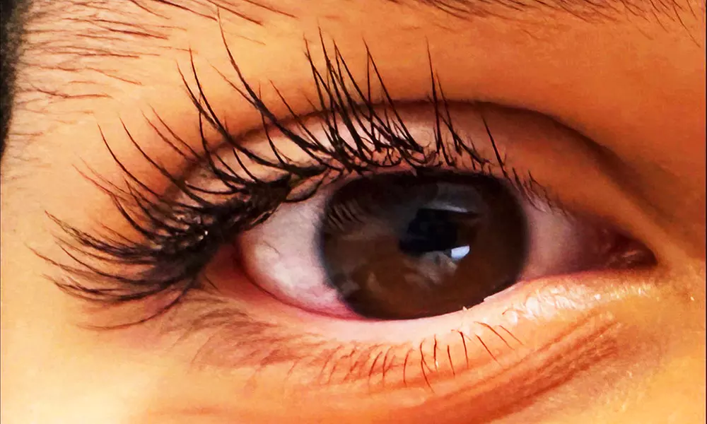 Enhance Your Lashes with Classic, Hybrid or Volume Lash Set at Salon Berardo ( Up to 44% Off )