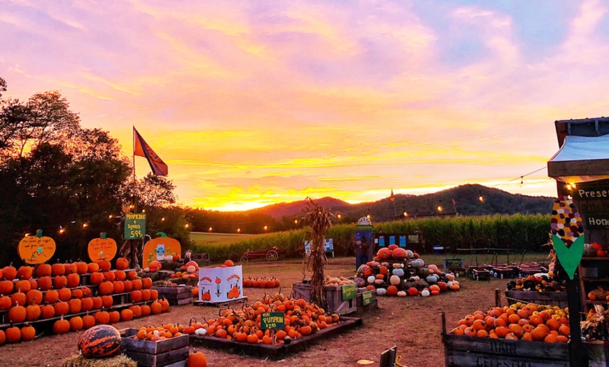 Image 8: Explore the 5 Acre Corn Maze & Festival Fun Admission for 1, 2, 3 or 4