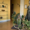 Image 1: 60/90 Minute Massage: Thai, Swedish, Deep Tissue, Hot Stones & More