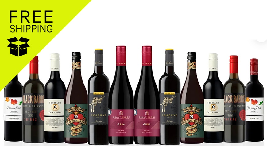 Image 1: Shiraz Lovers Mix (12 Bottles)