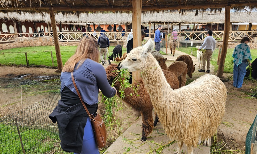 Image 2: ✈ Machu Picchu: 8-Day Peru Tour with Flights & Hotels + Llamas Visit
