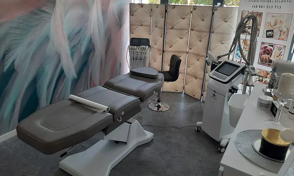 Lipoliza laserowa wybranych partii lub masaż endosferyczny Bio-Rollen