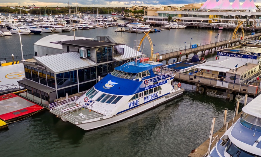 Image 2: 2.5-Hour Whale Watching Tour for One Child, or One, Two,/ Four Adults