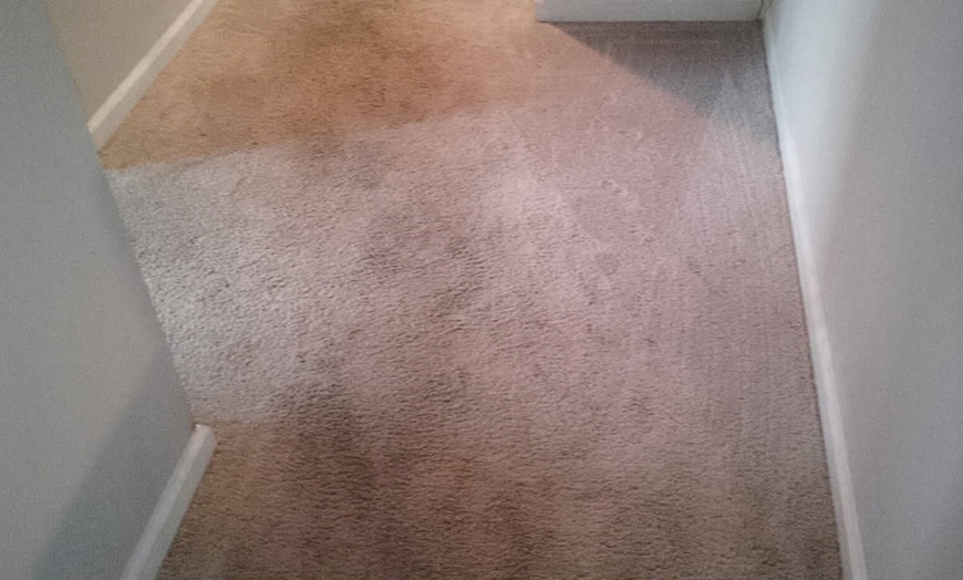 Image 3: Steam Cleaning for 3, 4, 5, 6, or 7 Rooms, One Hallway, Closets & More
