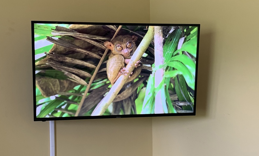 Image 16: TV Mounting for Up to 65'' or 85" w/ or w/o Wires Concealed In Wall 
