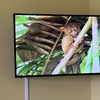 Image 16: TV Mounting for Up to 65'' or 85" w/ or w/o Wires Concealed In Wall 