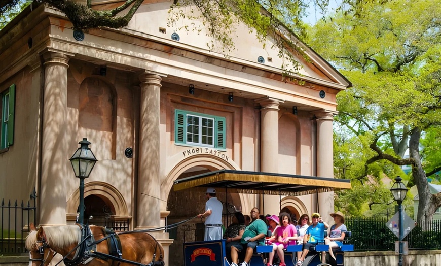 Image 4: Enjoy and Explore One-Day Tour Pass for One Adult or Child  