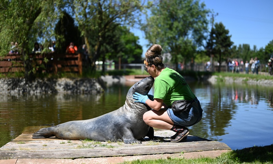 Image 10: ZOO Borysew: ulgowy lub normalny bilet wstępu