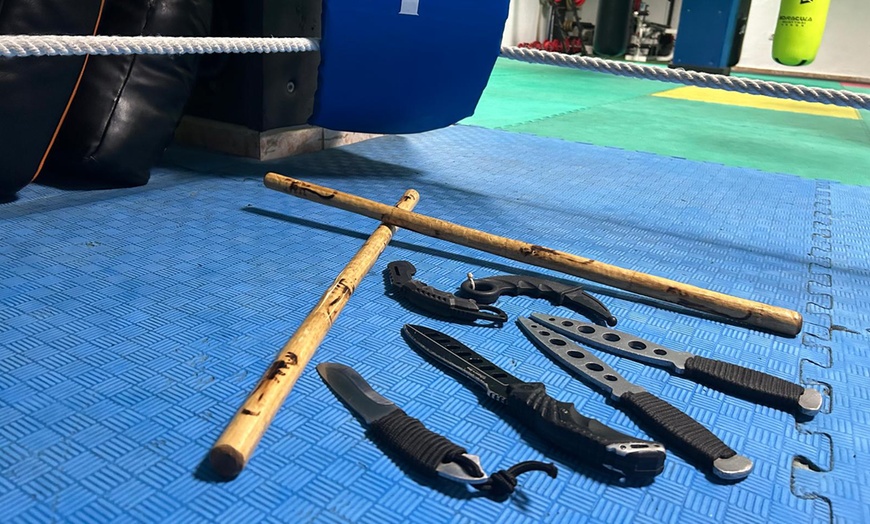 Image 5: Bono de 1 o 2 meses de clases de artes marciales para niños o adultos