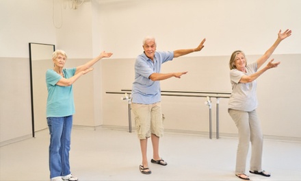 Physiotherapy Online Training - Compete High