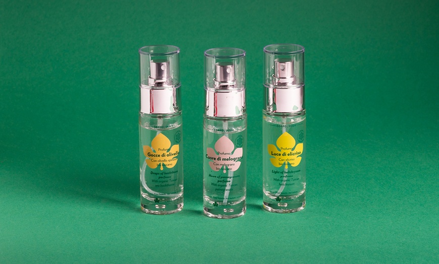 Image 1: Kit corpo Biofficina Toscana: Melograno, Elicriso o Olivello Spinoso  