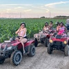 Image 6: Explore Miami's Trails for 1, 2, or 4 People with 1 or 2 ATV Rides